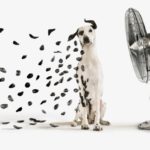 Don’t blow your Q1 2022 marketing budget – TechCrunch 2 GettyImages 105471618