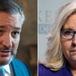 Sen. Ted Cruz Tries To Insult Rep. Liz Cheney And Gets Brutally Humiliated 3 a9ec84a0aac3237048931977bc271f66