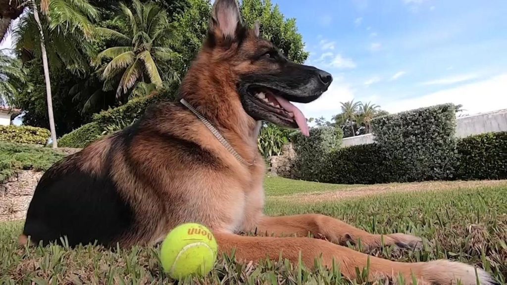 61a89669cf09e433d9a369f9 o U v2