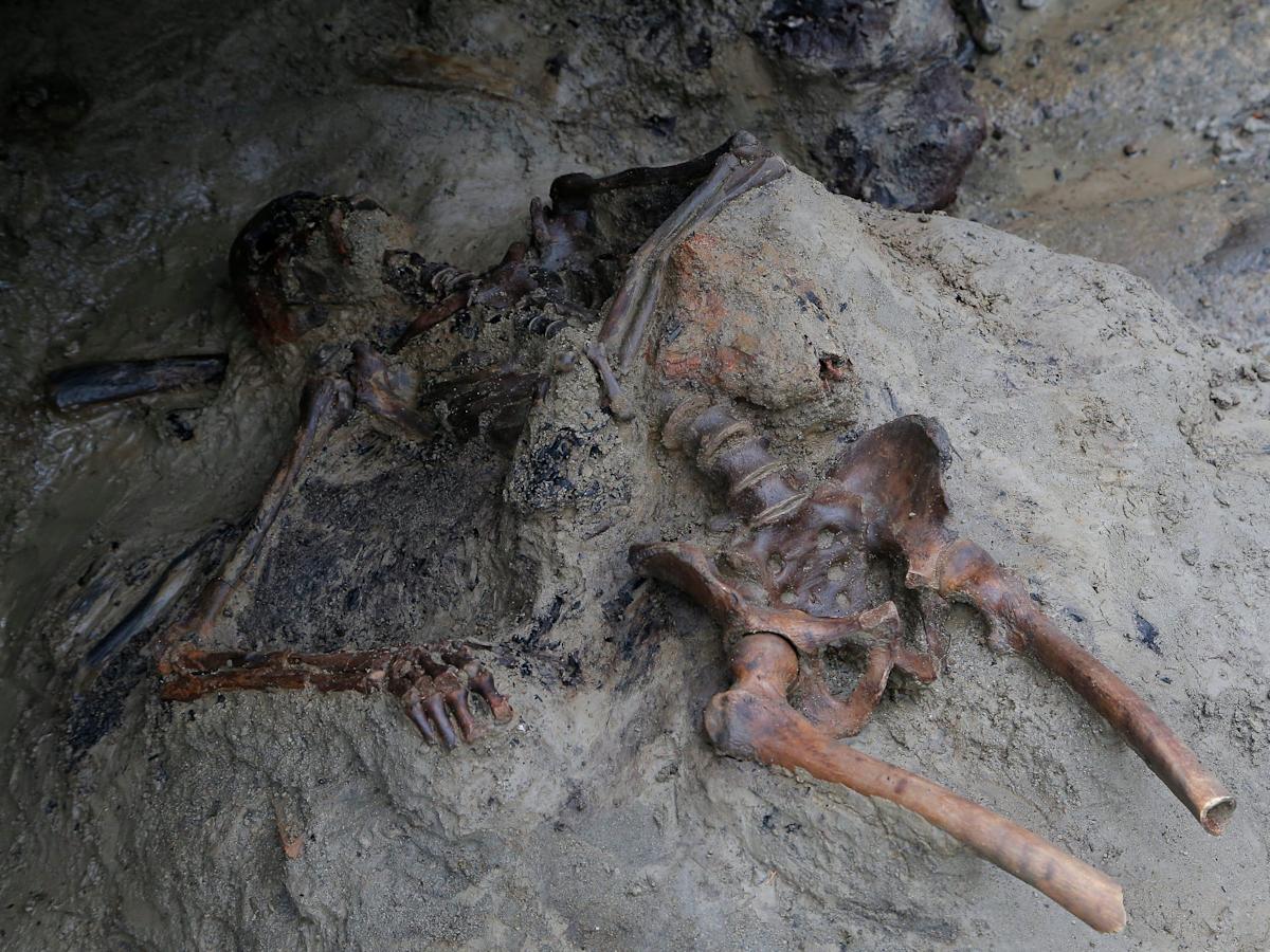 b44eff72d7c39bca7510e3453633e122