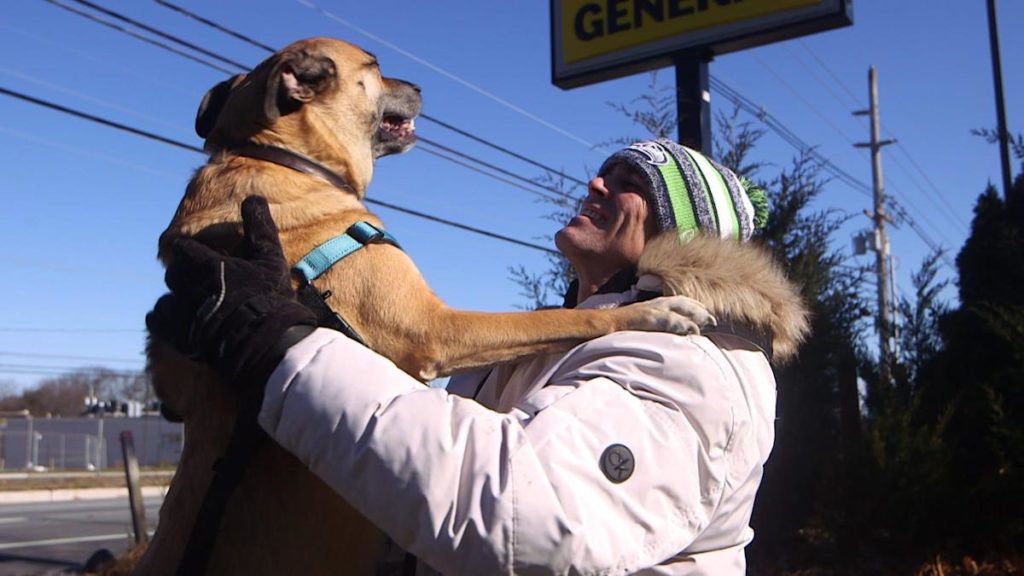 How Beachwood woman helped homeless man who refused to give up his dog 10 5273efbad65bdfb52e1c820dc6d9fd71