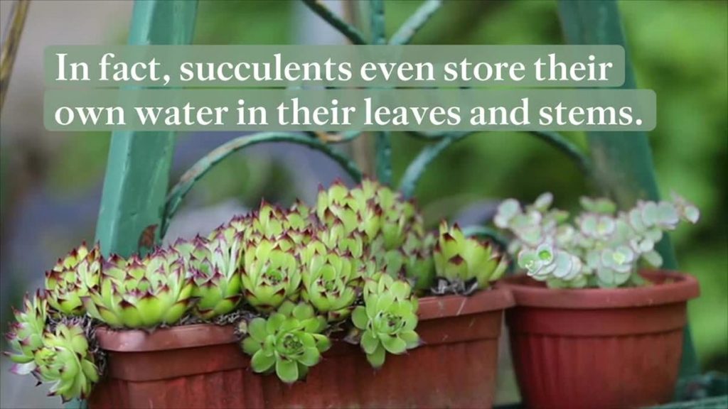 61ddab57c1623c000186e103 1280x720 FES v1