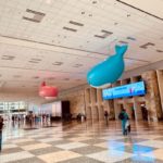 Docker makes comeback with over $50M in ARR two years into restructuring – TechCrunch 2 IMG 0970