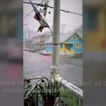 623b1b39c0aca100013e8279 1920x1080 FES v1