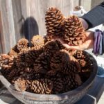 GettyImages 1225803116