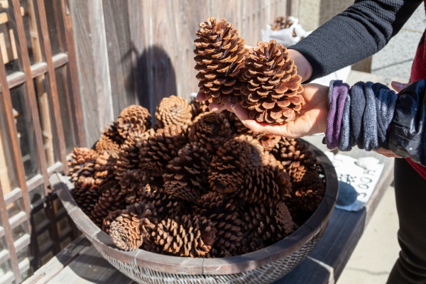 GettyImages 1225803116