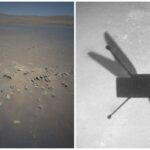 helicopter laureate side by side