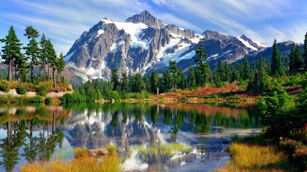 6244c46c2300006198138a90