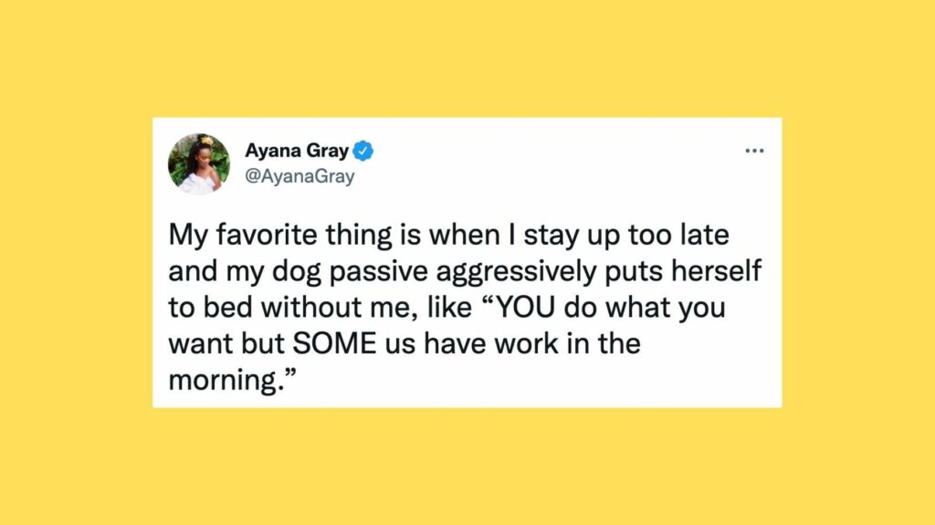 62631e351e000047881b32d6