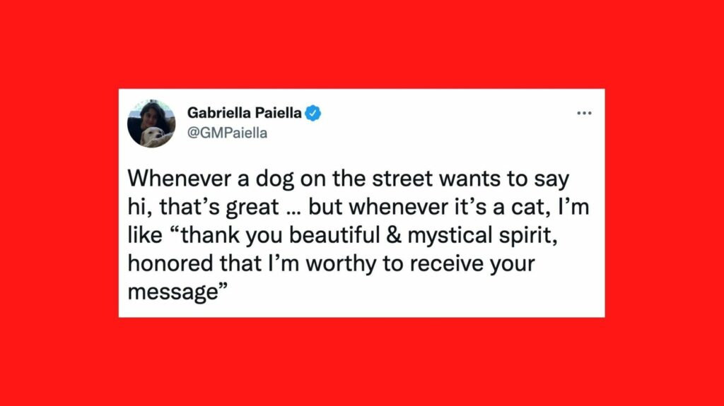 626c642a230000190713ad0d