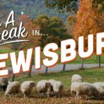 6261c9ff1e0000e3991b31bf