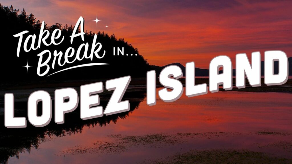 6272e3462600003e1e8a7b24