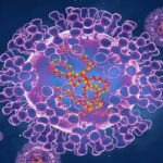 6287c016260000a34b8a8e67