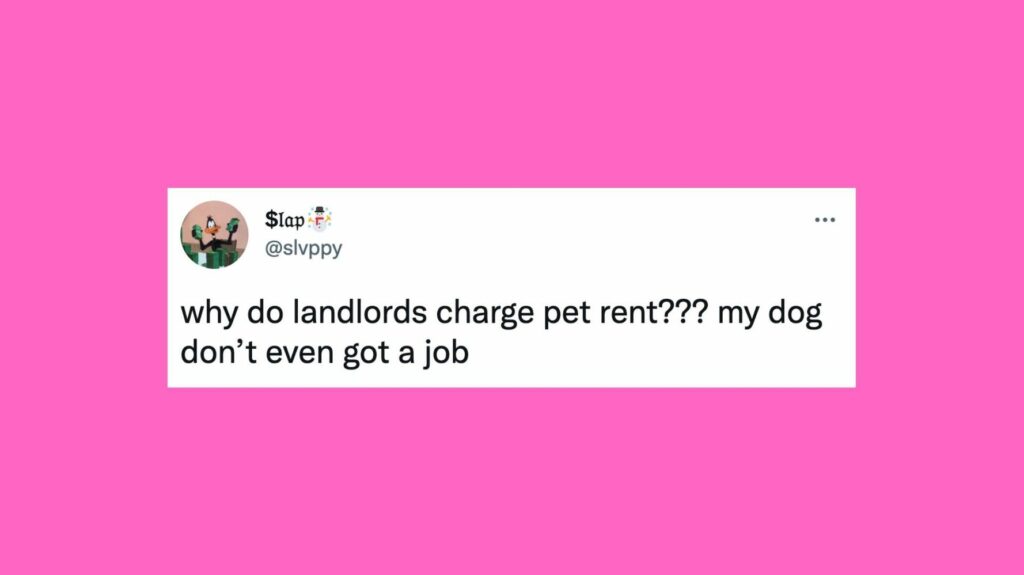 62db02602500009dab330f18