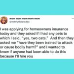 62ed81ba2500001900a65b8f