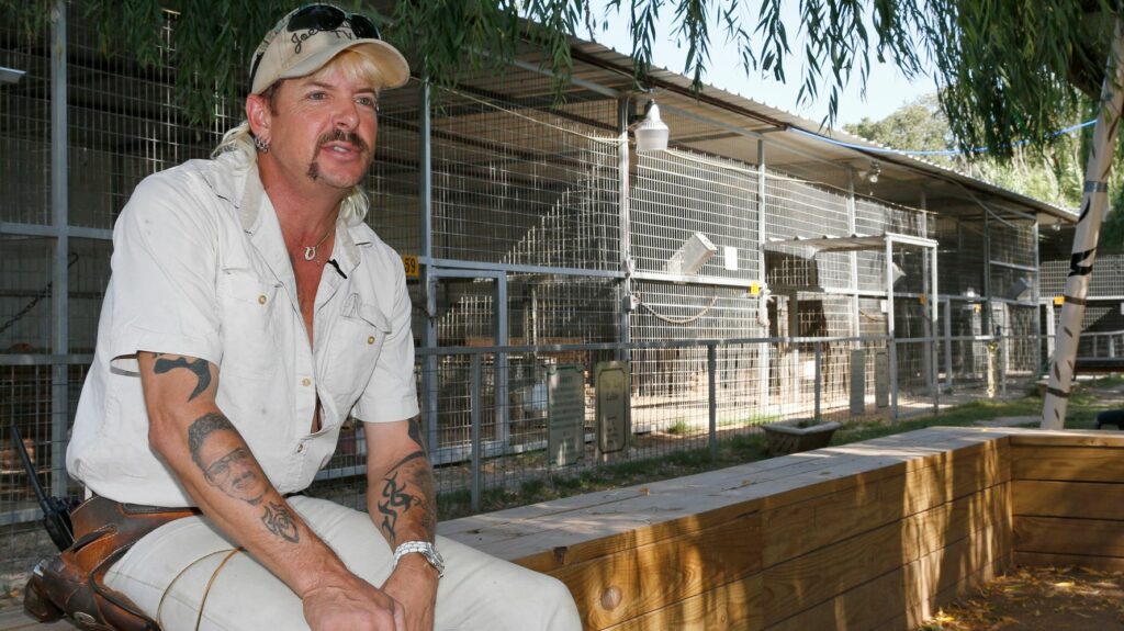 62f3a32f2300003400328c69