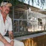 62f3a32f2300003400328c69