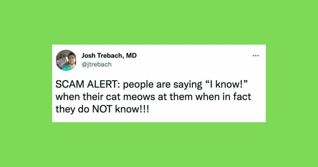 62f6d0cb2600001b00dcb31a