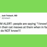 62f6d0cb2600001b00dcb31a