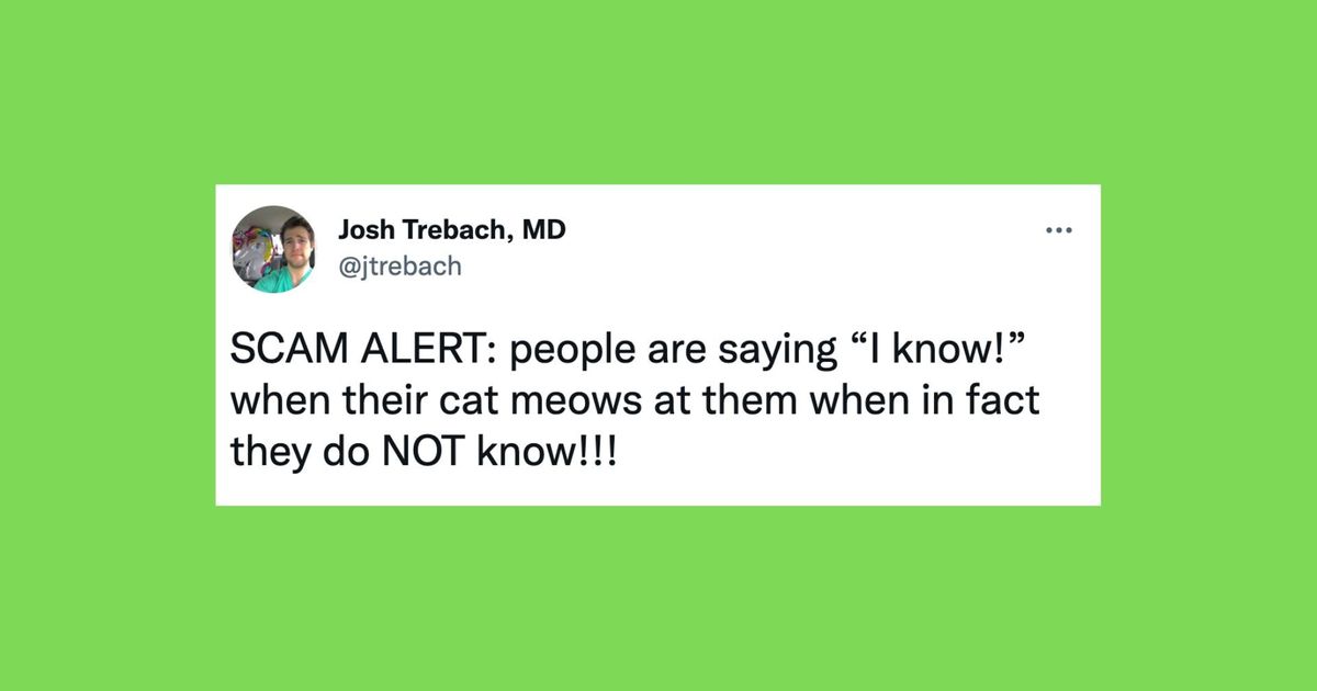 62f6d0cb2600001b00dcb31a