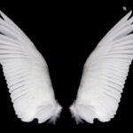 GettyImages 157679085