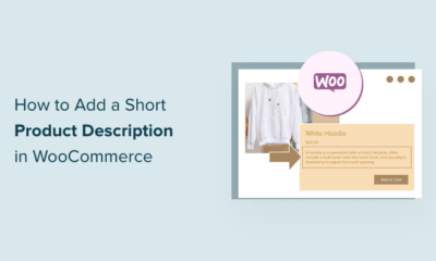 how to add a short product description in wordpress og