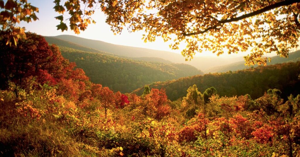 630ccc2c2200003200ad9467