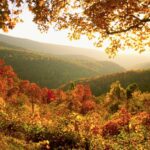 630ccc2c2200003200ad9467