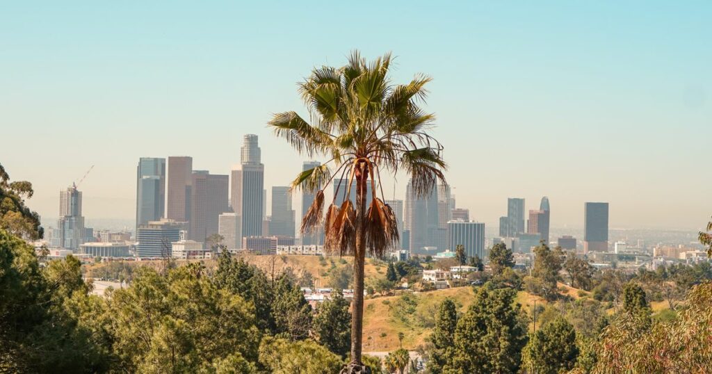 630f567f2500003400df8e51