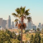 630f567f2500003400df8e51