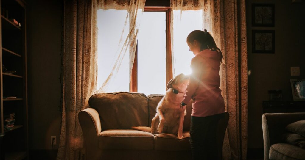 630fc22724000061005e98aa