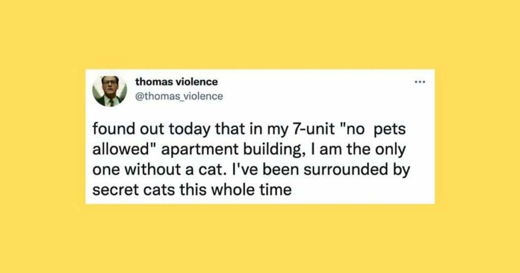 631ba8f62600002000bbf902