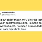 631ba8f62600002000bbf902