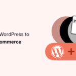 connect wordpress to paypal commerce og