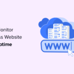 how to monitor wordpress website server uptime og