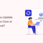 should you update wordpress or plugins first og