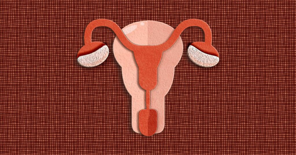 633f2a7e2300003700c2dff3