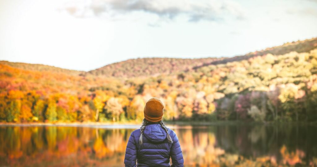 6347093d22000031002bf1a7