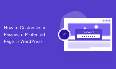 how to customize password protected page in wordpress