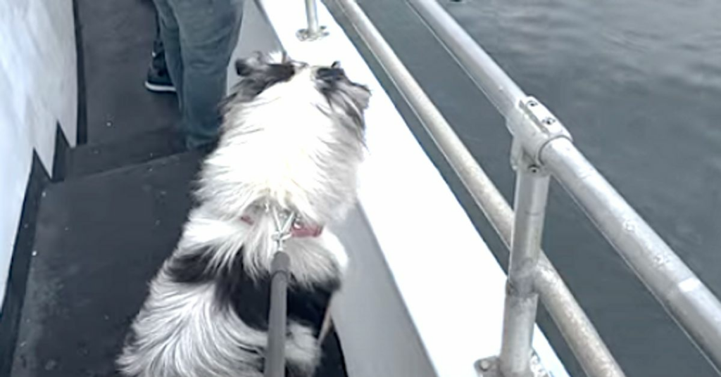 6364debe2400005f00a59a5d