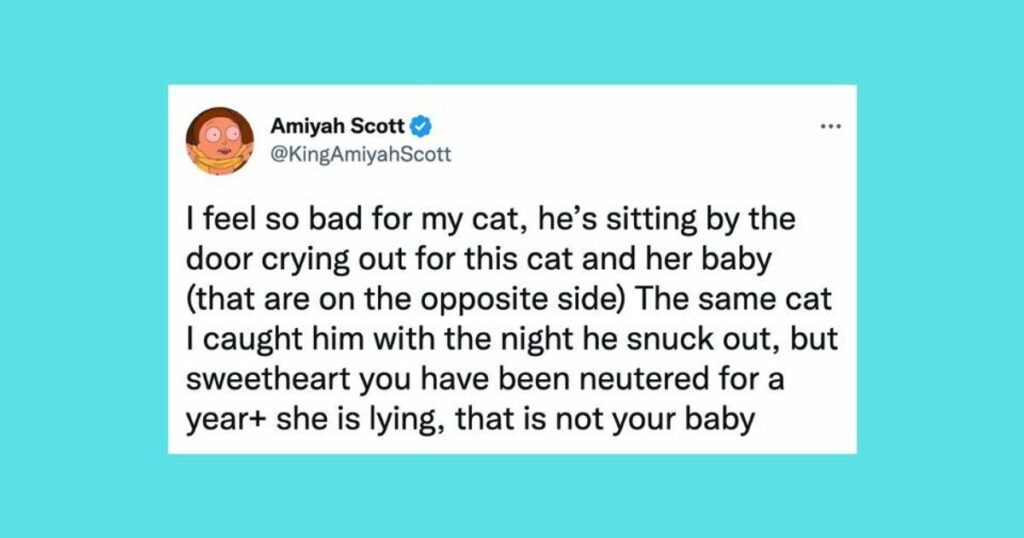 636edc572300001b00316750