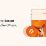 how to easily serve scaled images in wordpress og