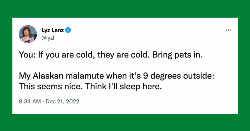 63a5ddab1f00003900f51f14