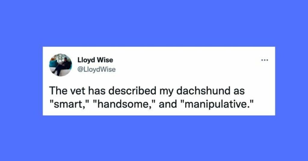 63b8b15c2200003b0092ad92