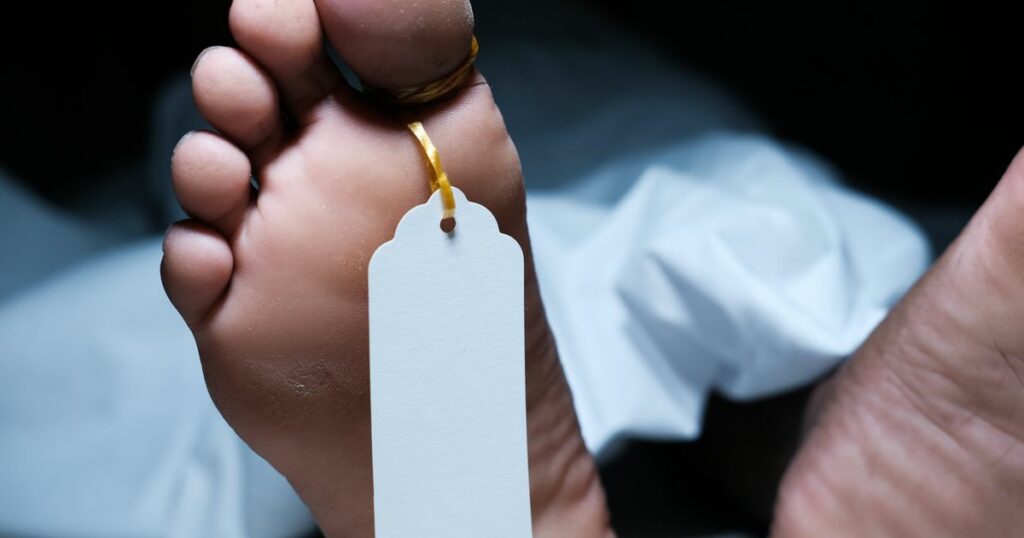 63e1292c2400006400133726