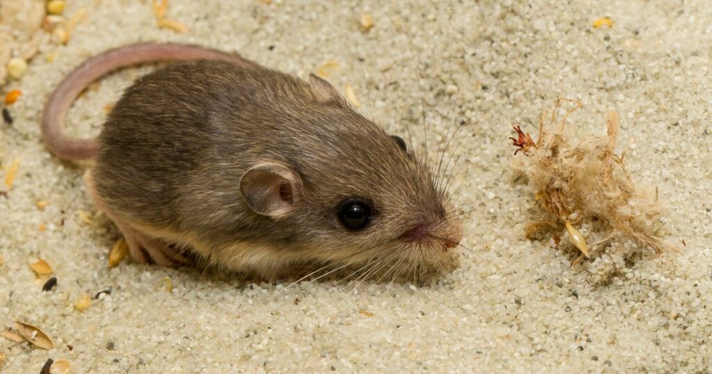 63e4c3732000001900fc45cf