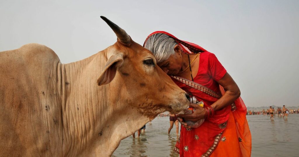 63e520cc24000032009decb1