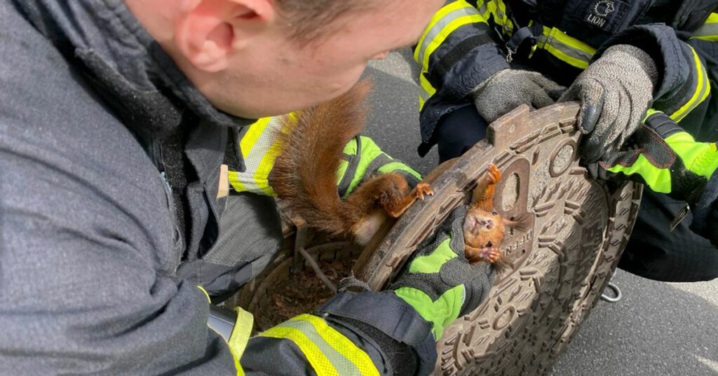 6435af7b2100003b005af1df