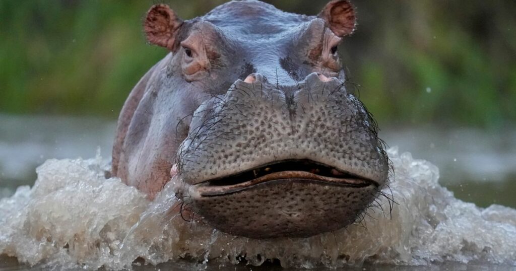 64371e211e00005c00a573fe