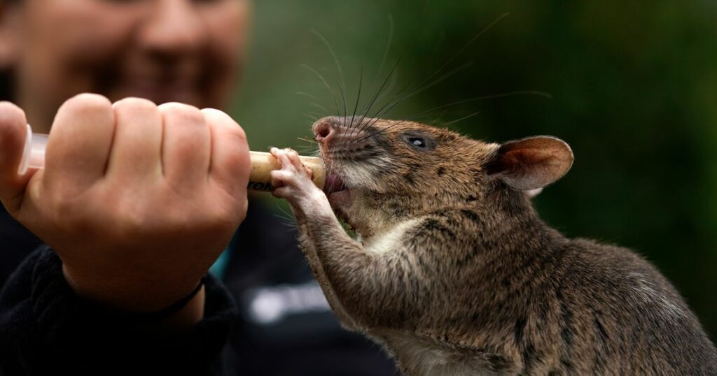 643ebb252200003200ac1089